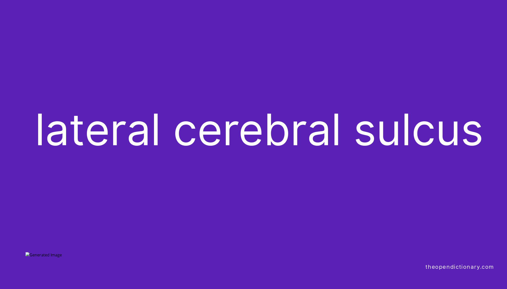 lateral-cerebral-sulcus-meaning-of-lateral-cerebral-sulcus